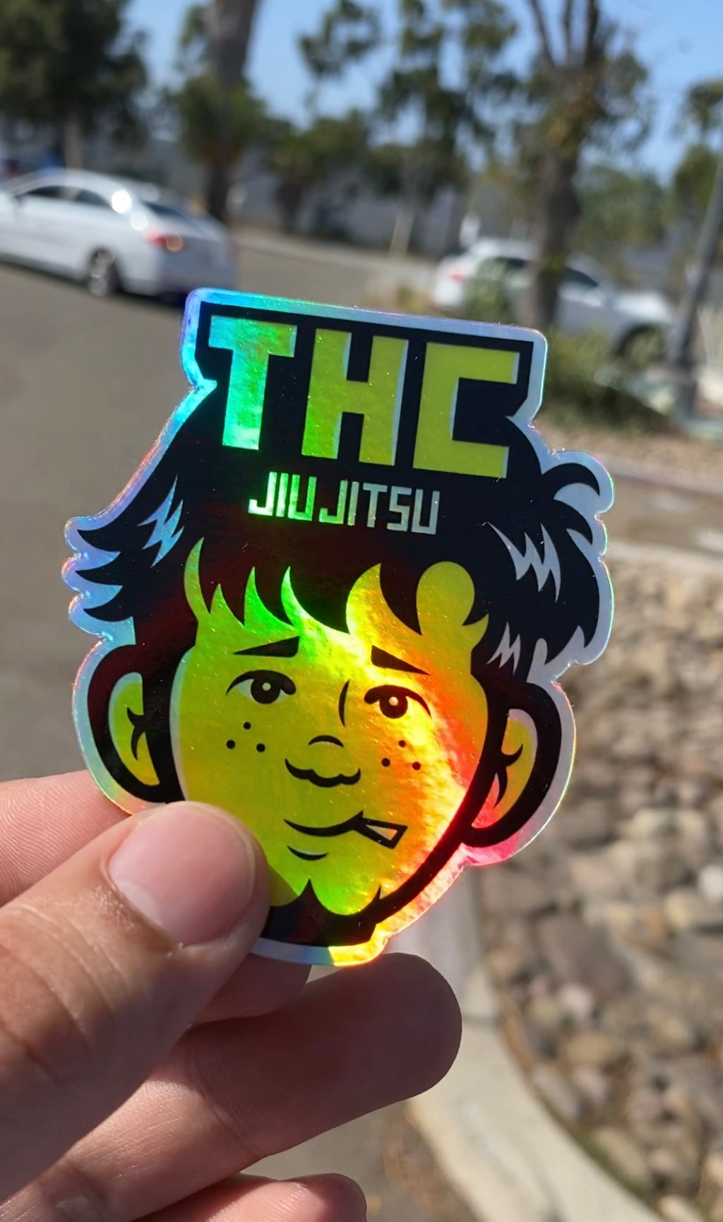 Professor Thc Jiu Jitsu - Holographic stickers